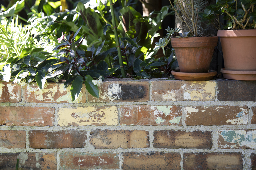 250313-Connected-Design-Marrickville-129