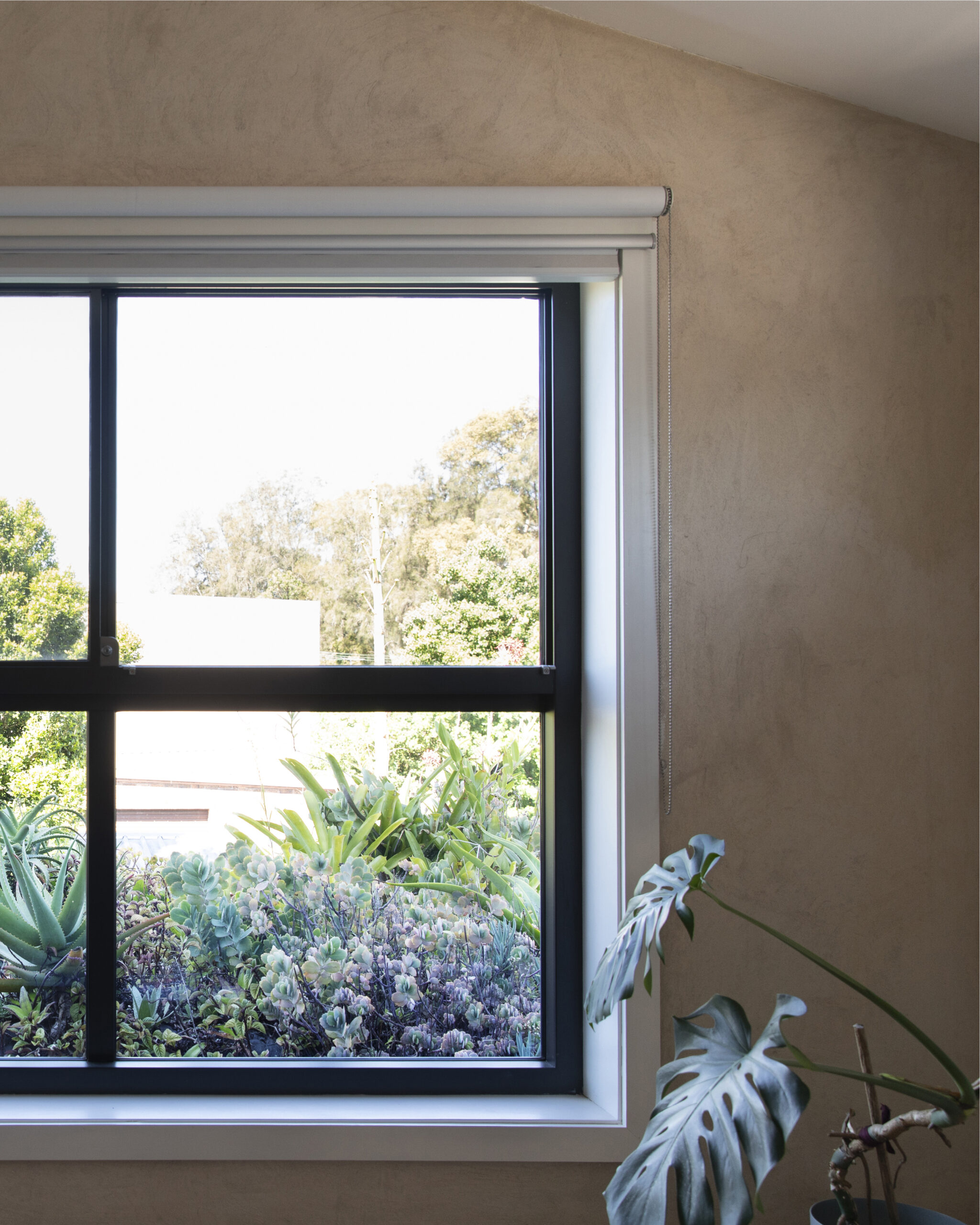 250313-Connected-Design-Marrickville-133B