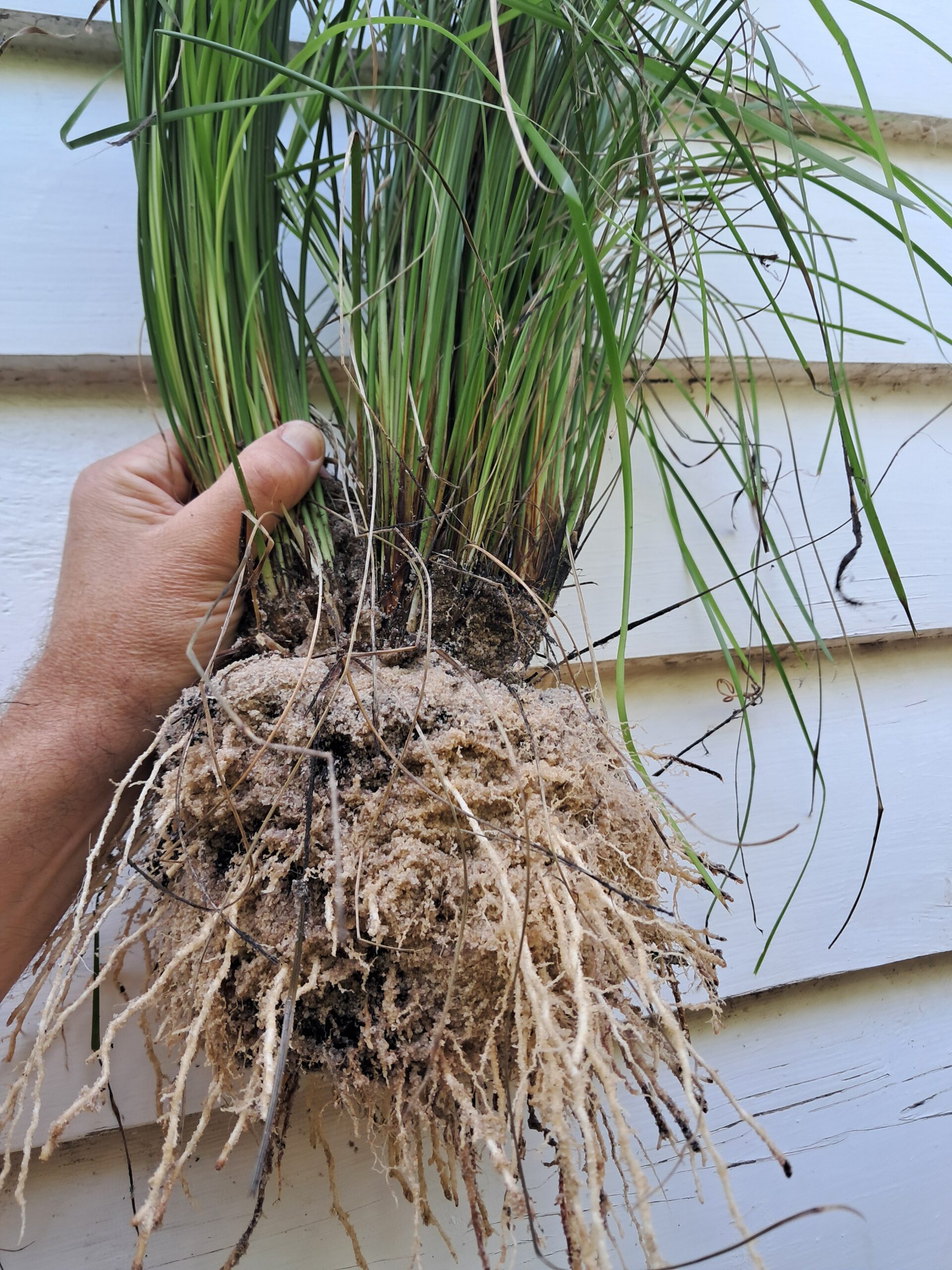 55022556233_5296aa882d_o