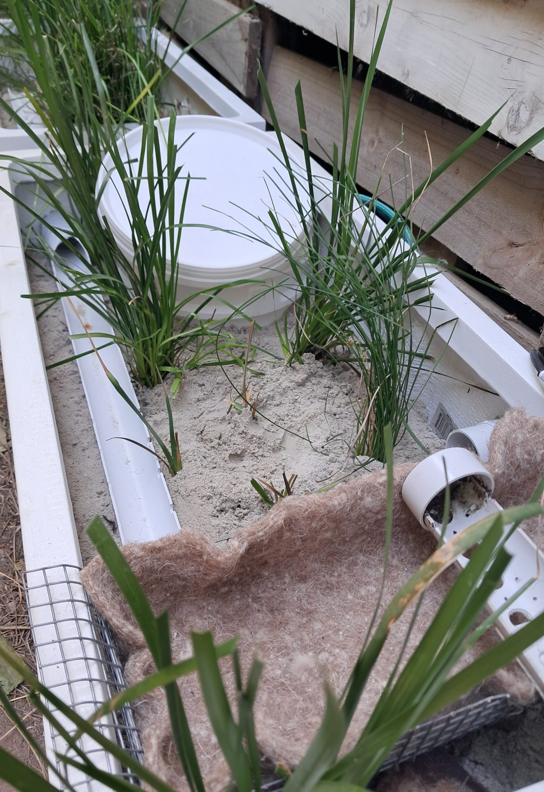 55022557233_7fd18d3bc9_o