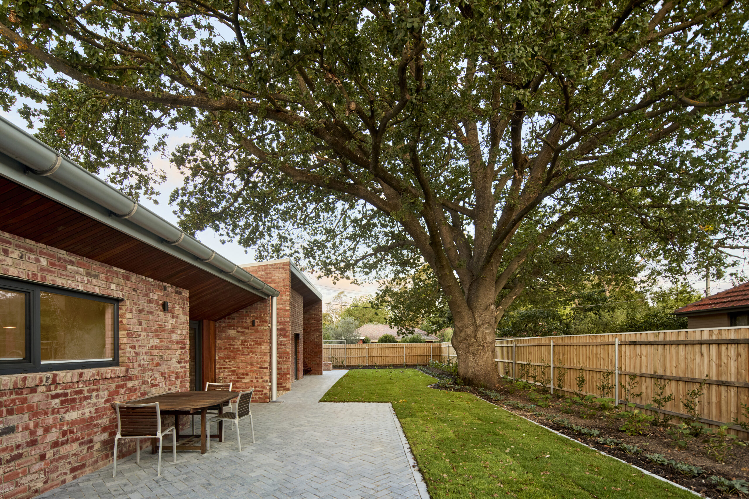 8.-Lightbulb-oak-tree