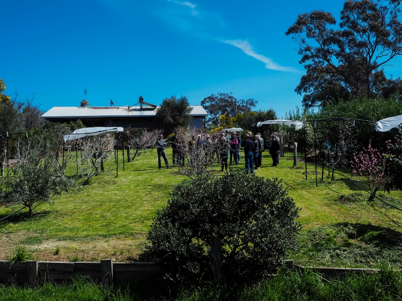 Claudine-Collins-Tour.Orchard2-800x6001