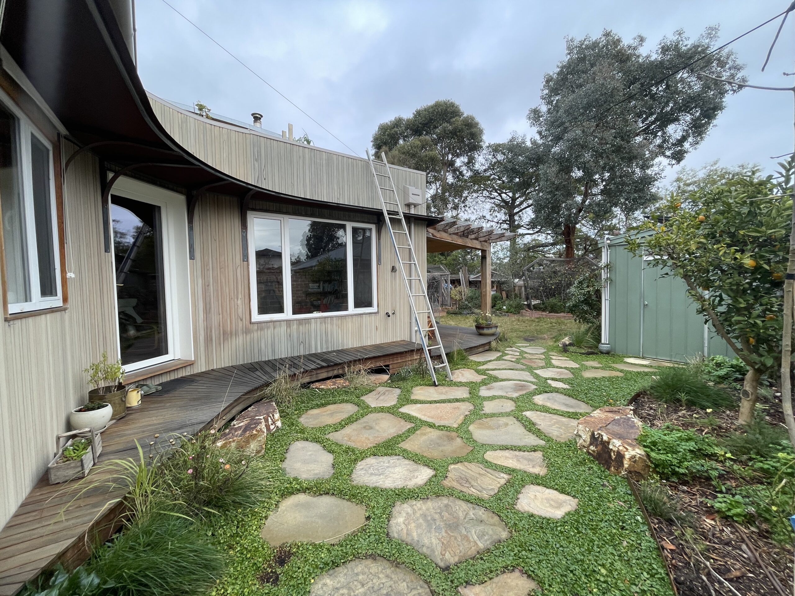 Dichondra lawn amongst Castlemain Slate stepping stones IMG_0315