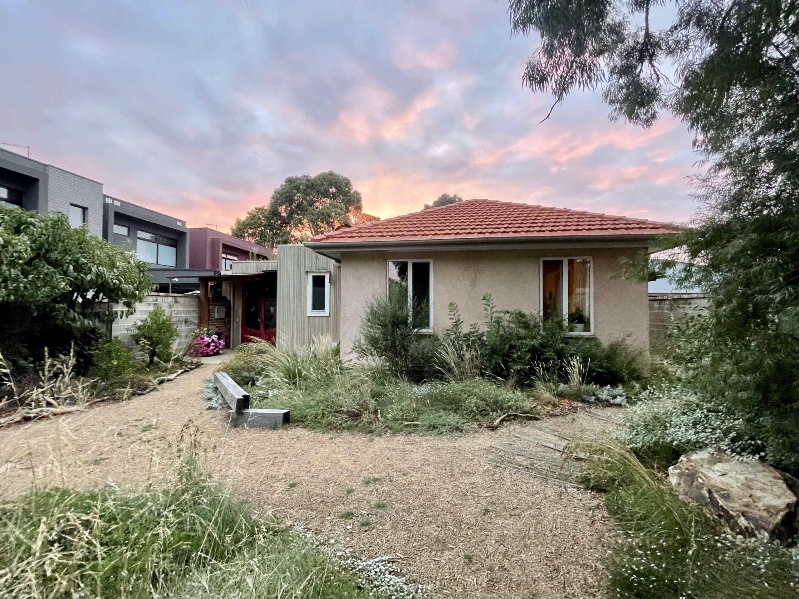 Front garden (after landscaping) IMG_4723