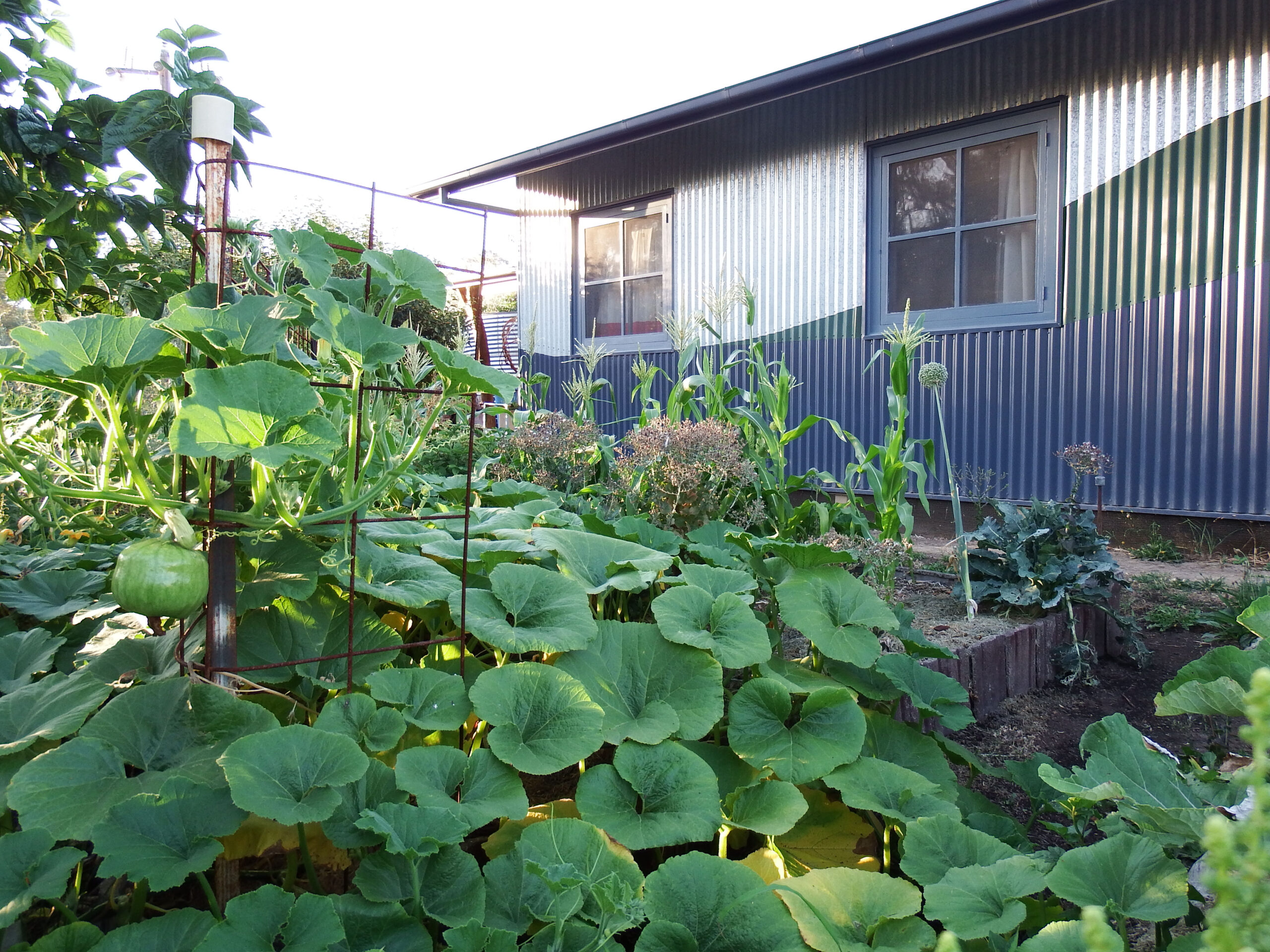 Front-garden-at-Abdallah-House-med