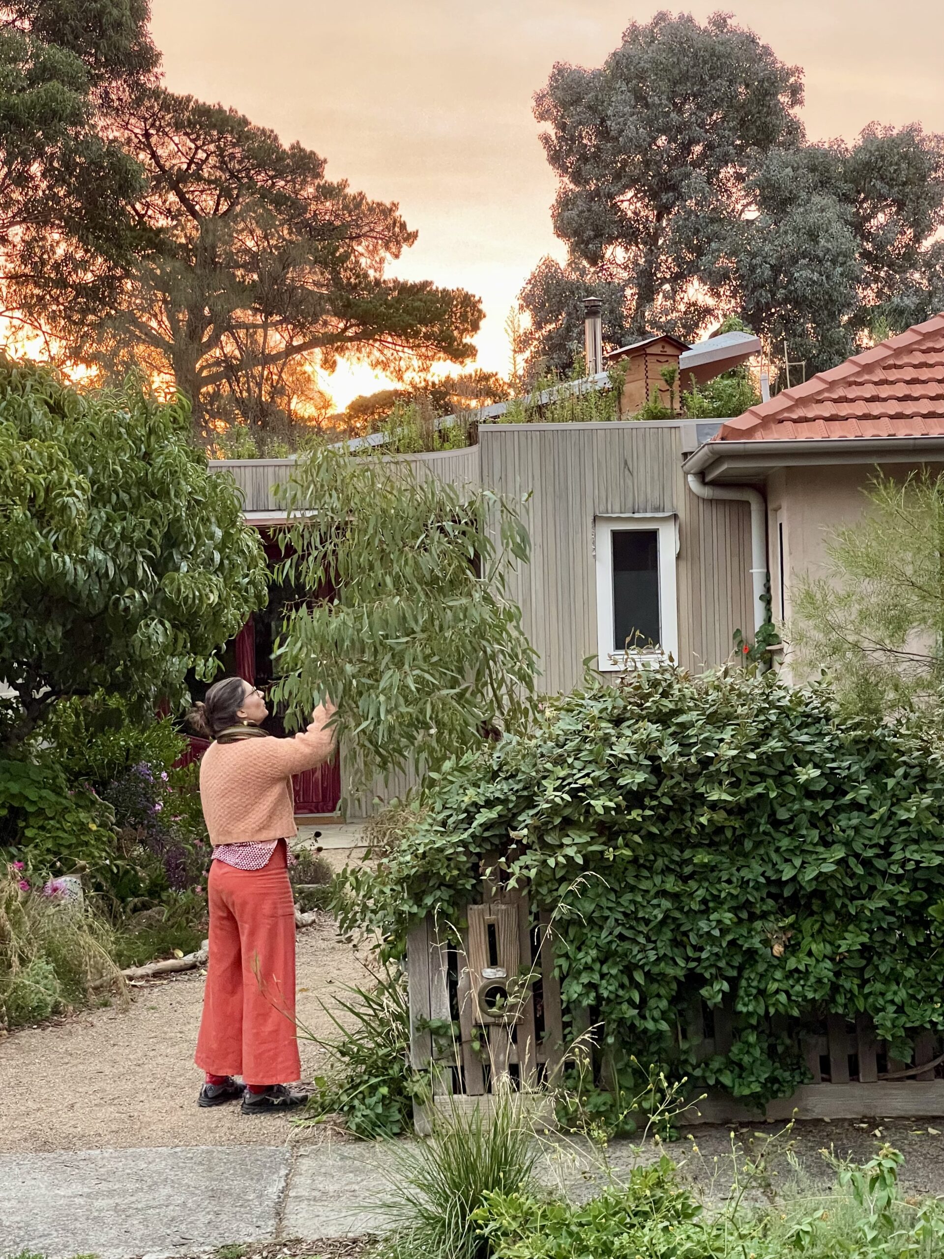 Front of Red Door Studio (after) IMG_4707