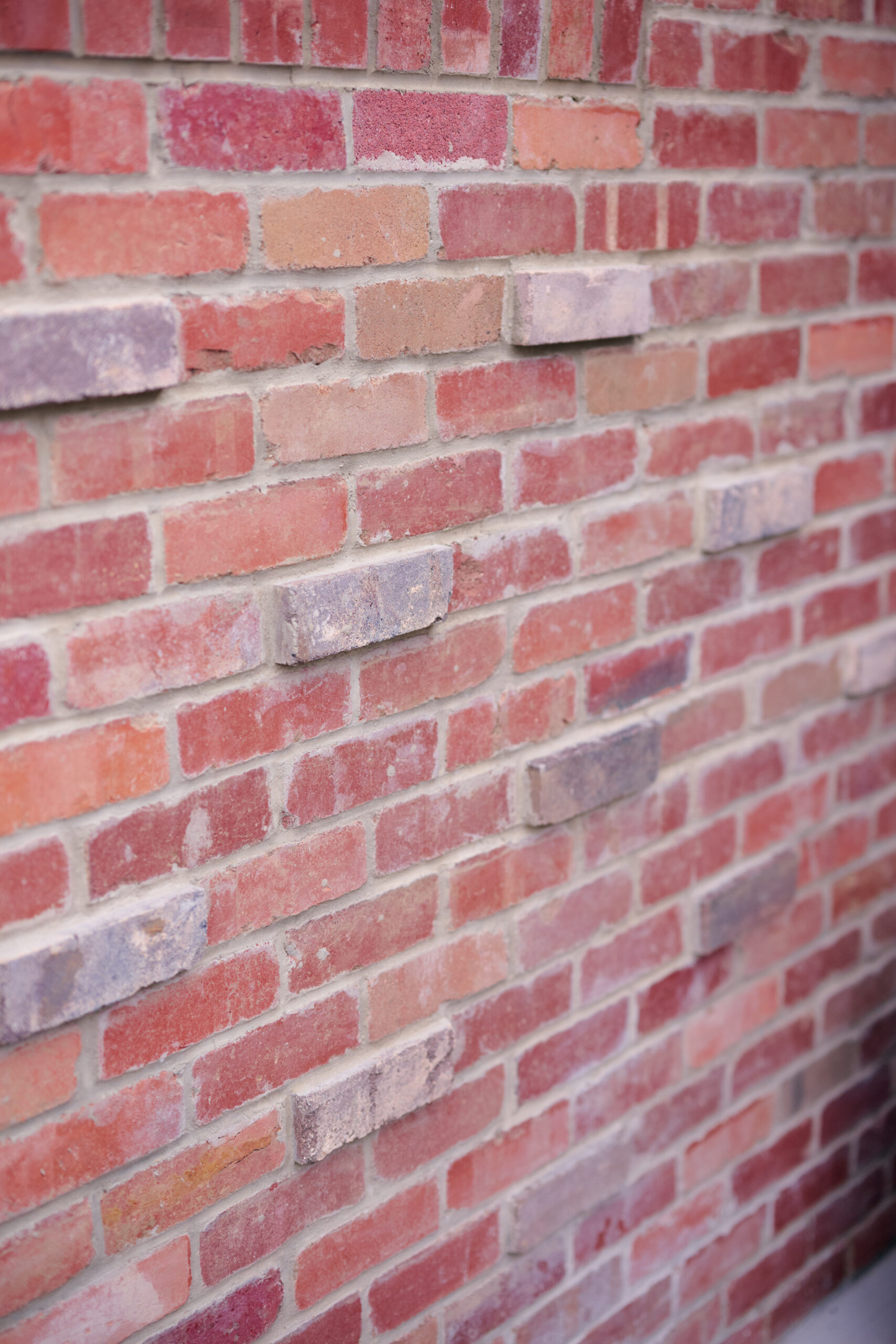 HR_260309_38a-Mckinlay-St_TME_PewPew_157045