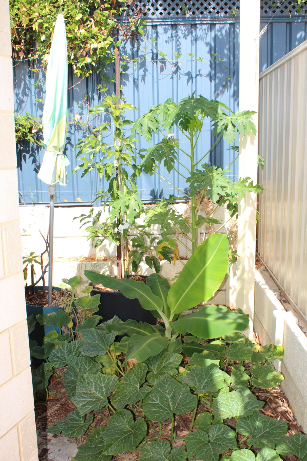 IMG_0845-e1566871960577