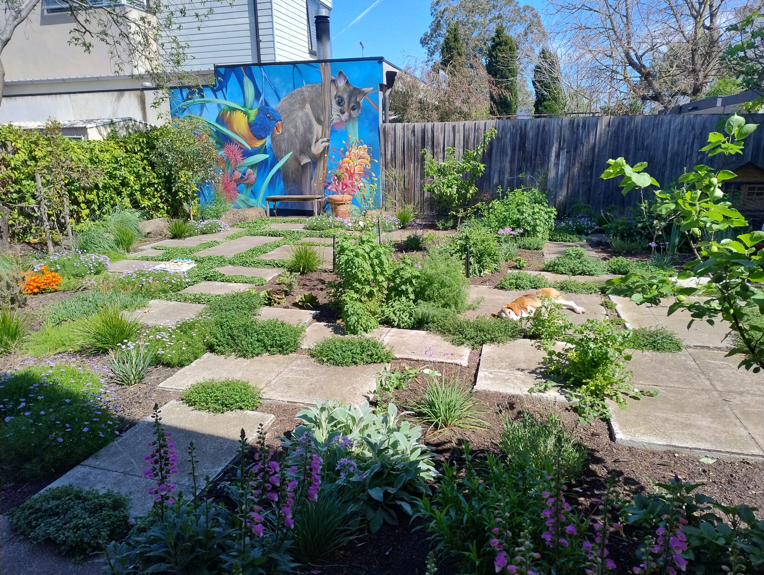 IMG_20251004_105827012_HDR