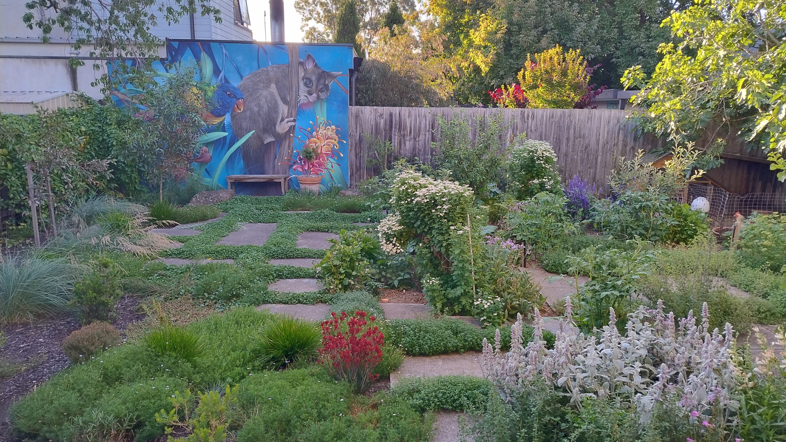 IMG_20251220_192654669_HDR