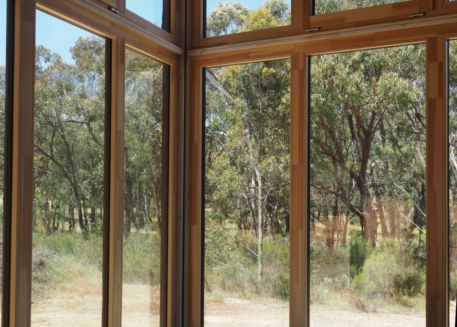 IMG_4602-small-scaled