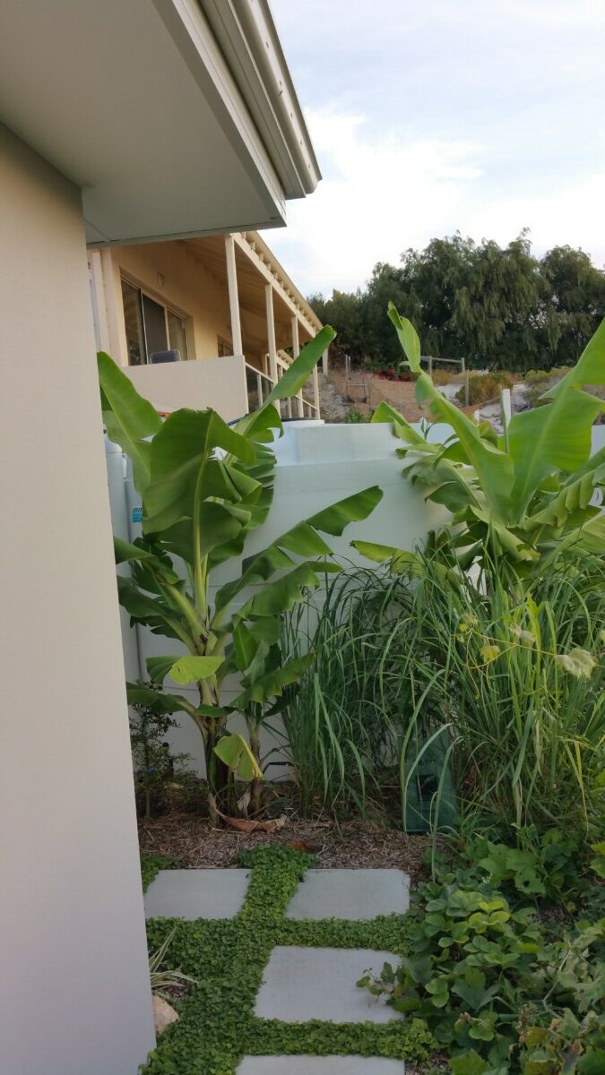 INMAN-Trigg-49-rotated