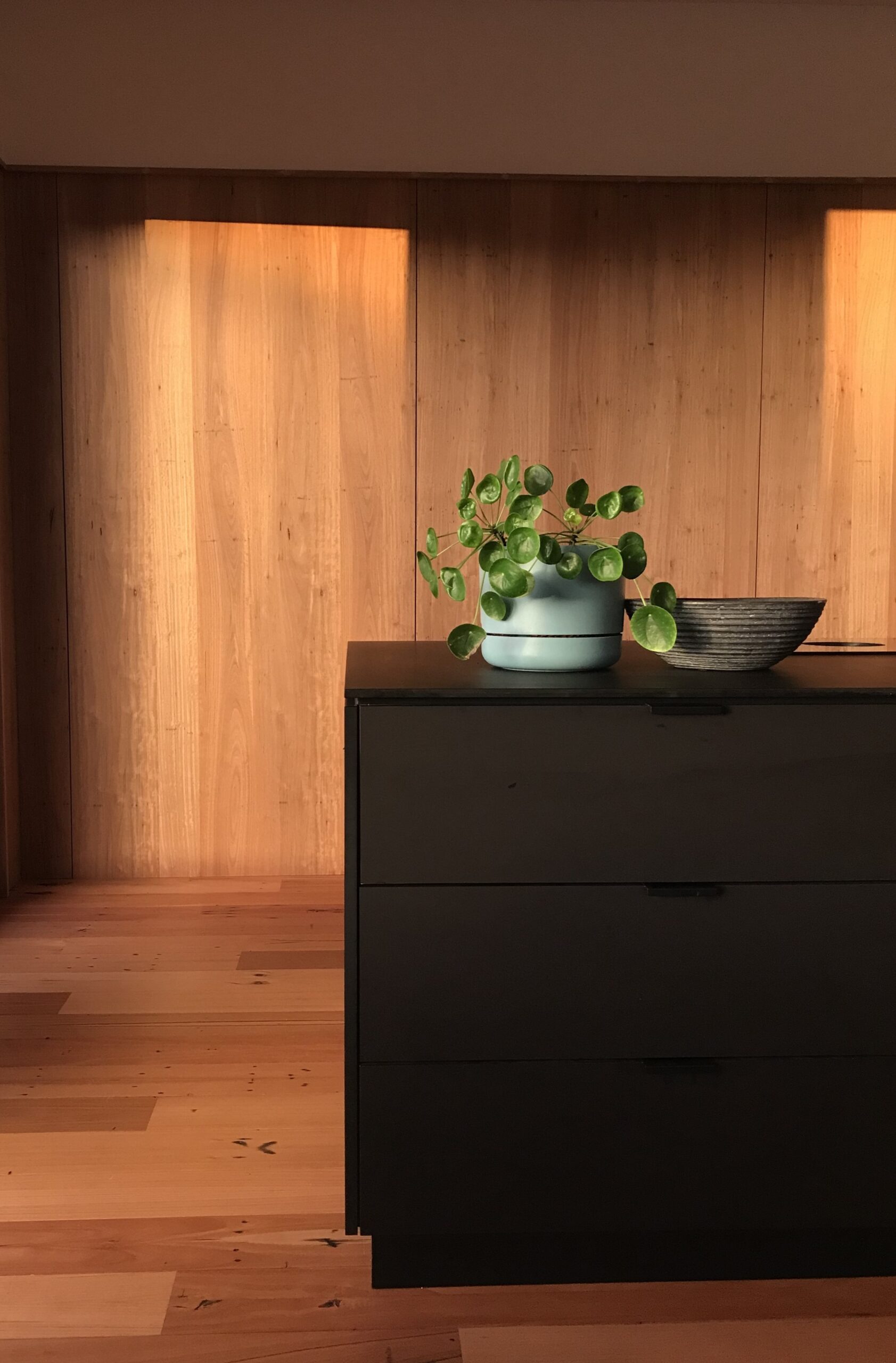 Kitchen-with-benchtop-located-rangehood