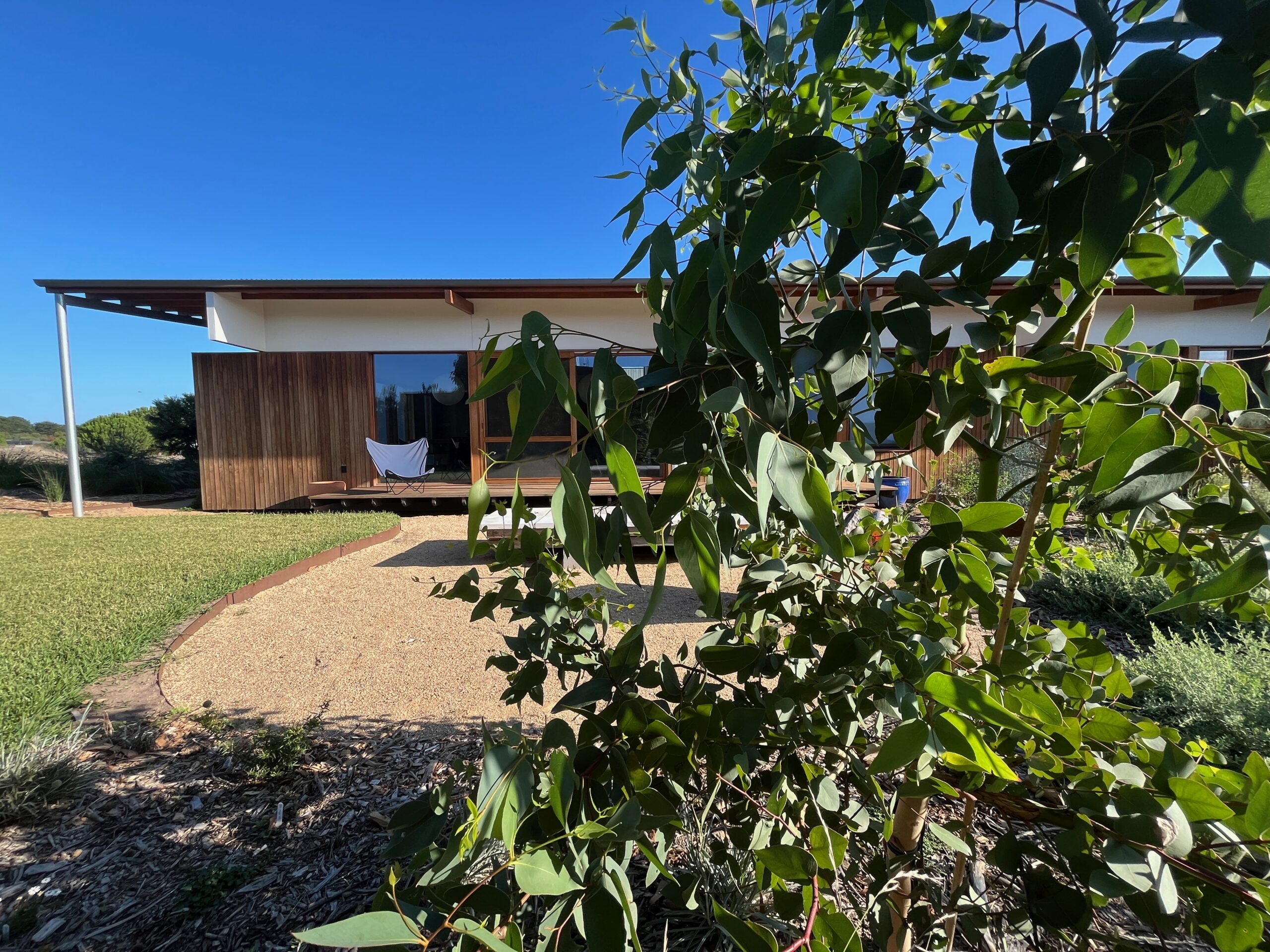 New-dwelling-seen-through-garden