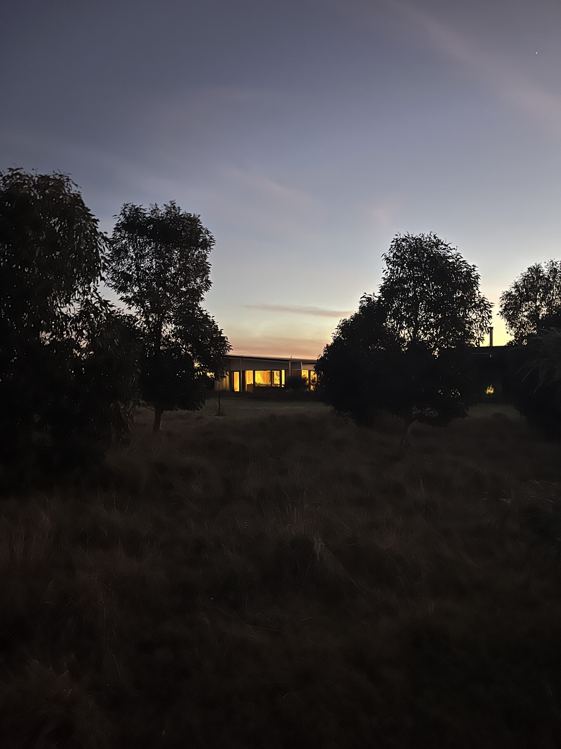 Night-view-in-landscape-01