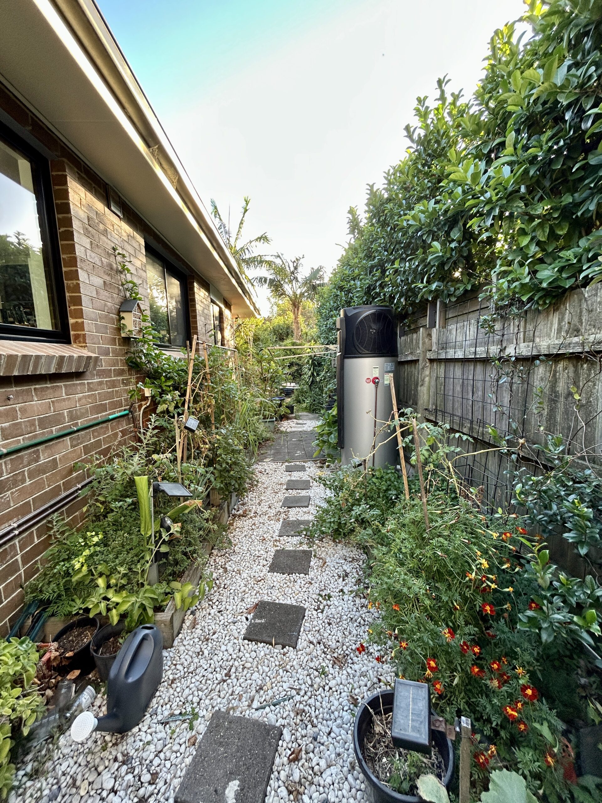 NorthFacing vege growing