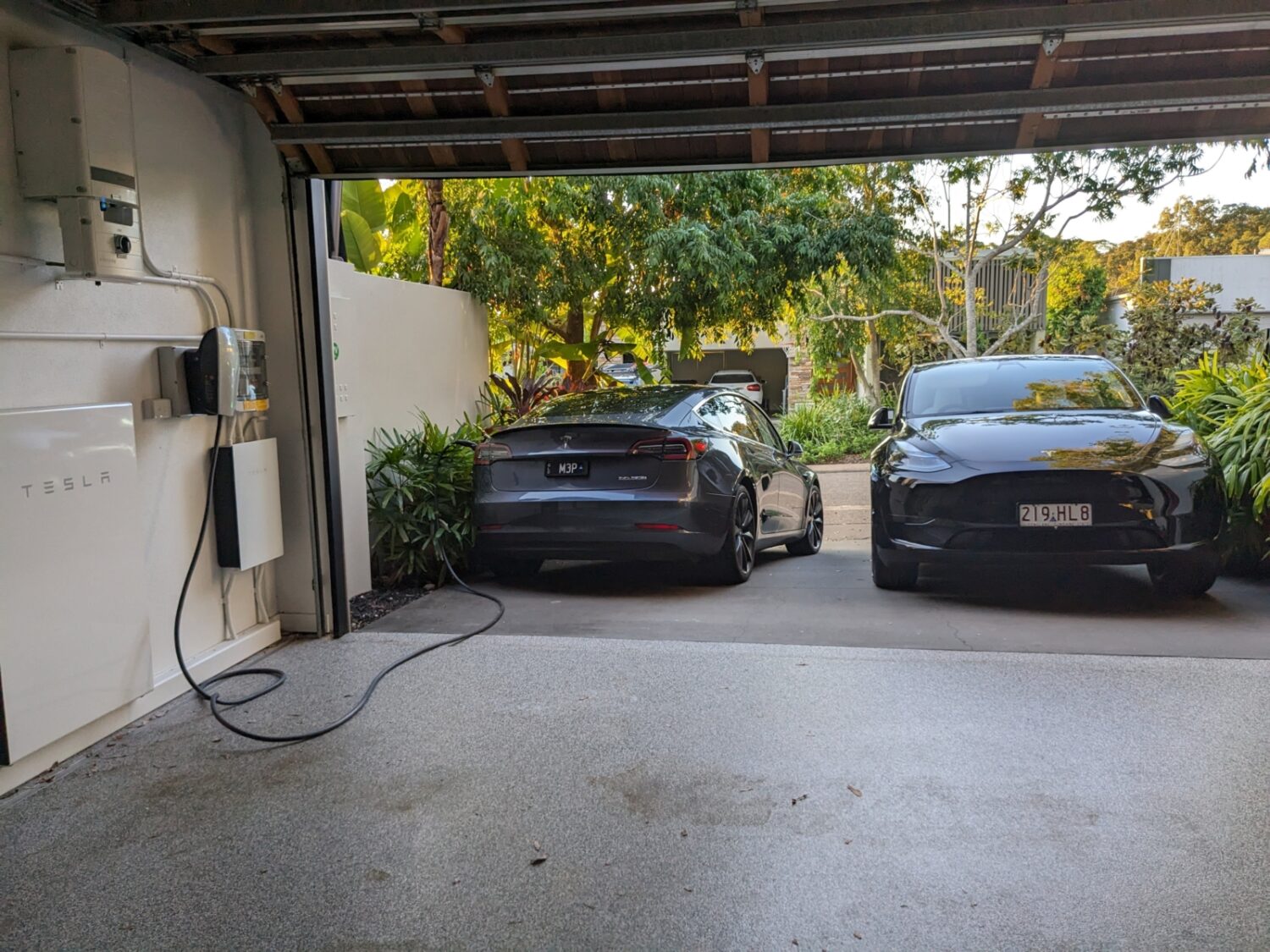 PXL_20230618_064236049-1-scaled-1