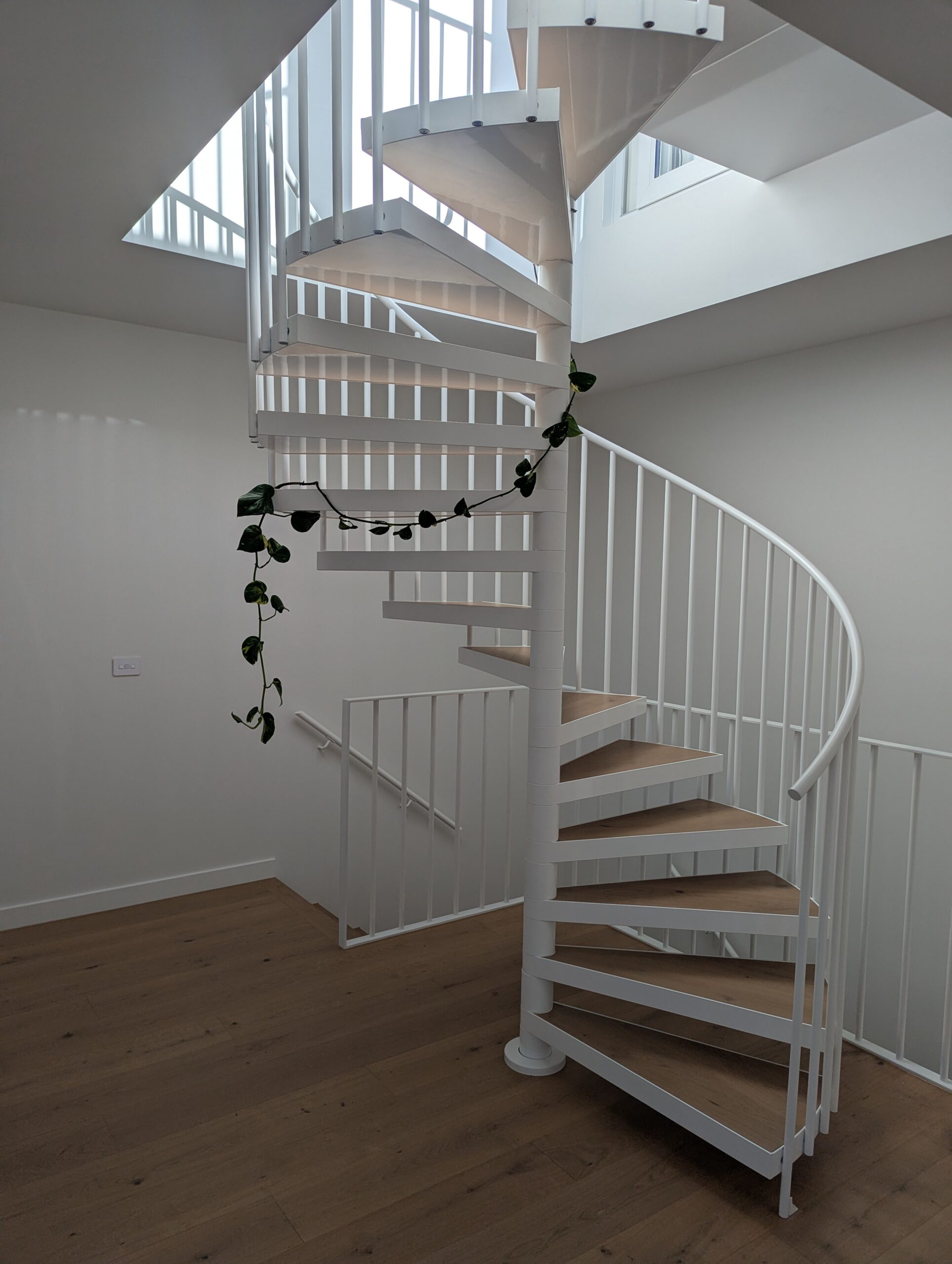 PXL_20250216_214253224