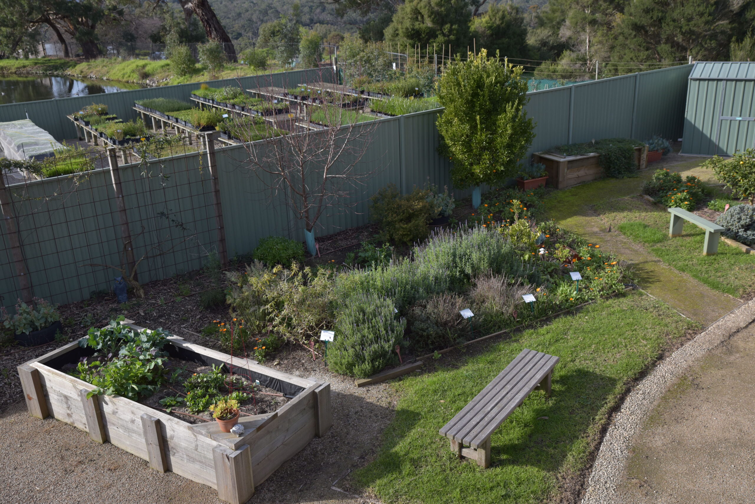 Raised beds garden