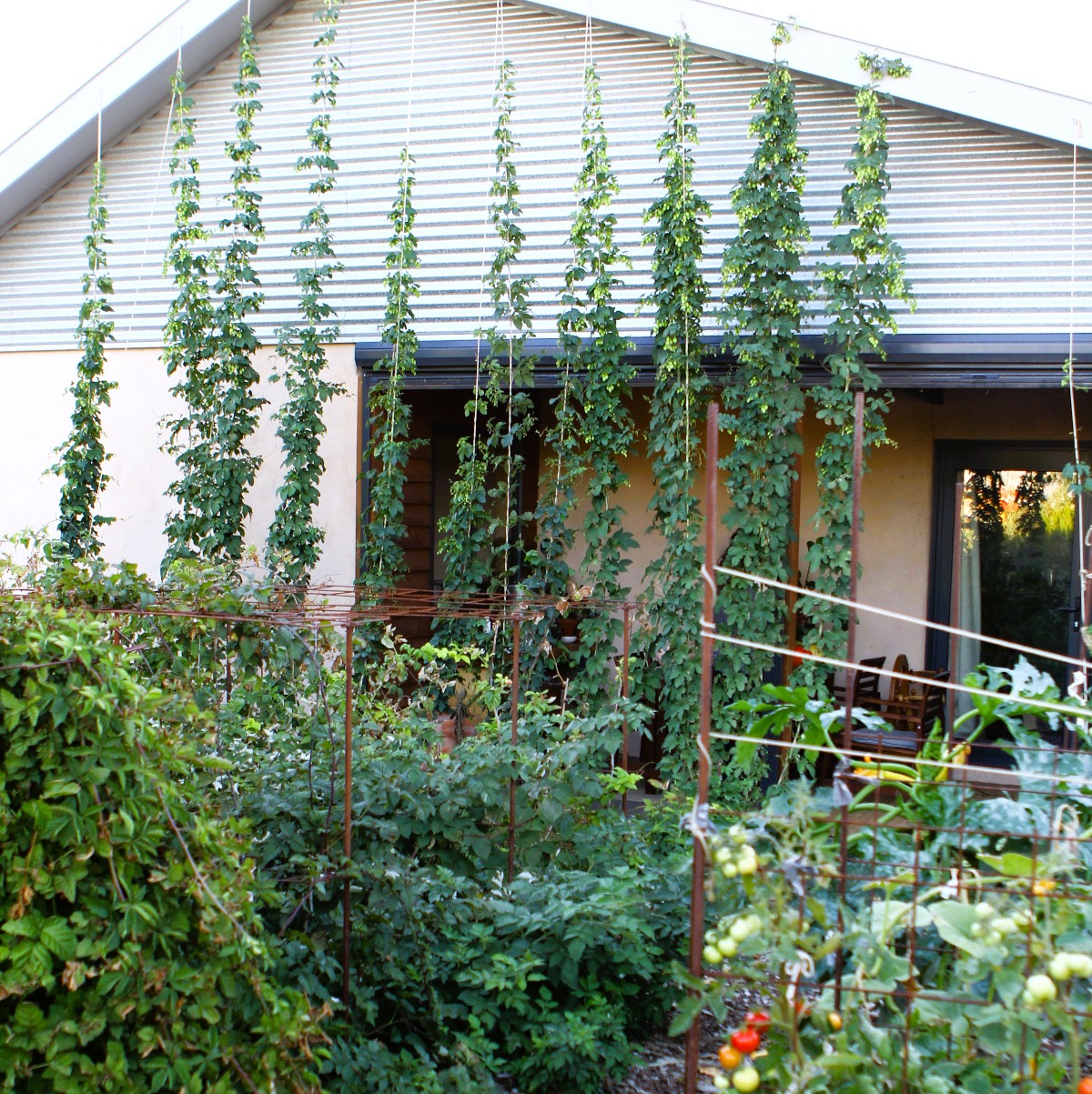 SH7-Credit-Folk-of-all-Trades