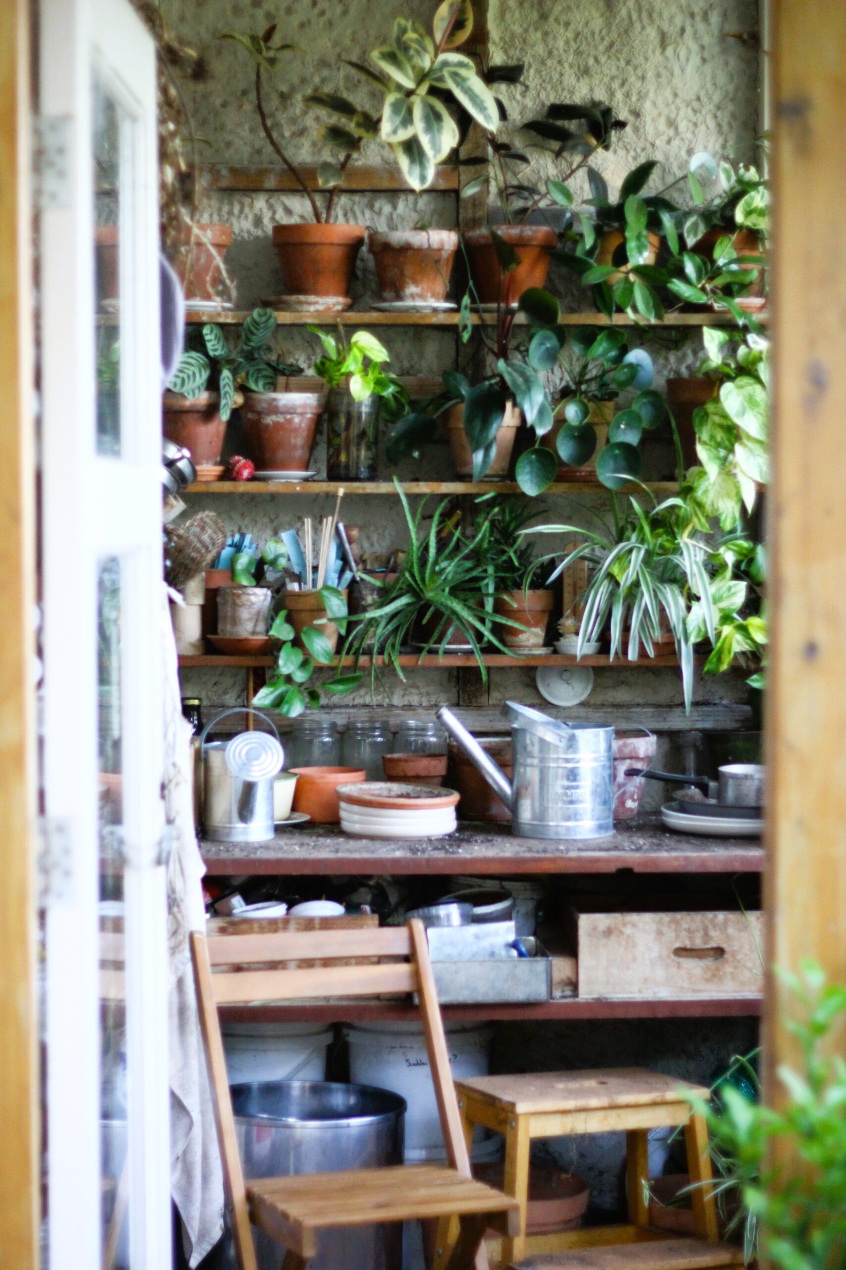 SH8-Credit-Folk-of-all-Trades