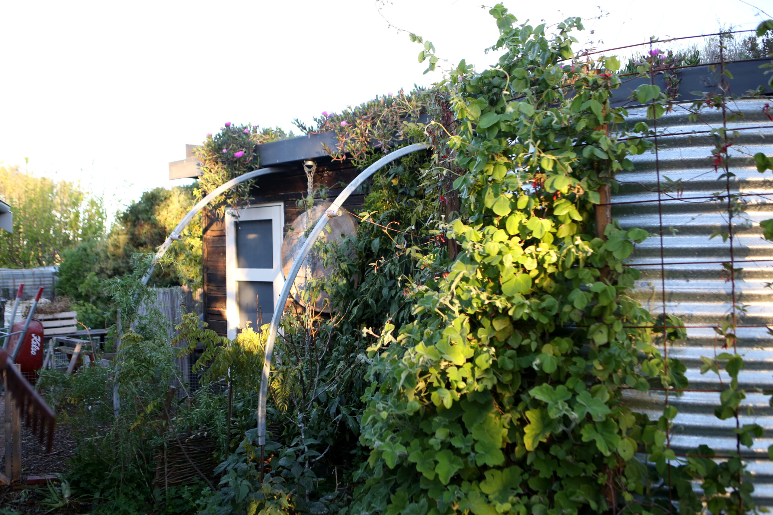 SH9-Credit-Folk-of-all-Trades