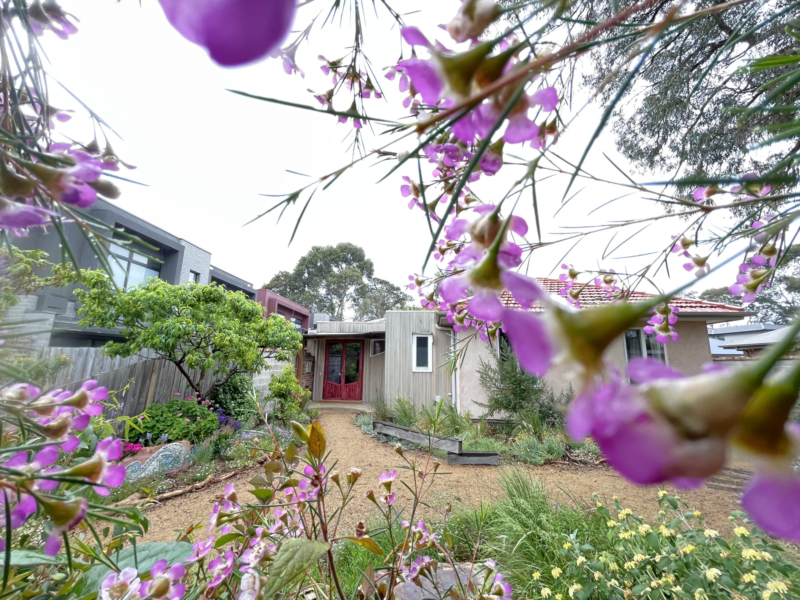 Spring at the Red Door Studio IMG_2341