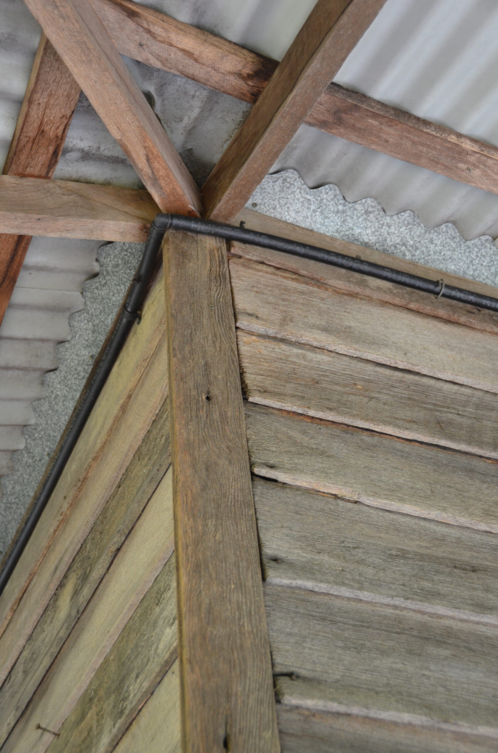 bird-scallop-and-sprinkler