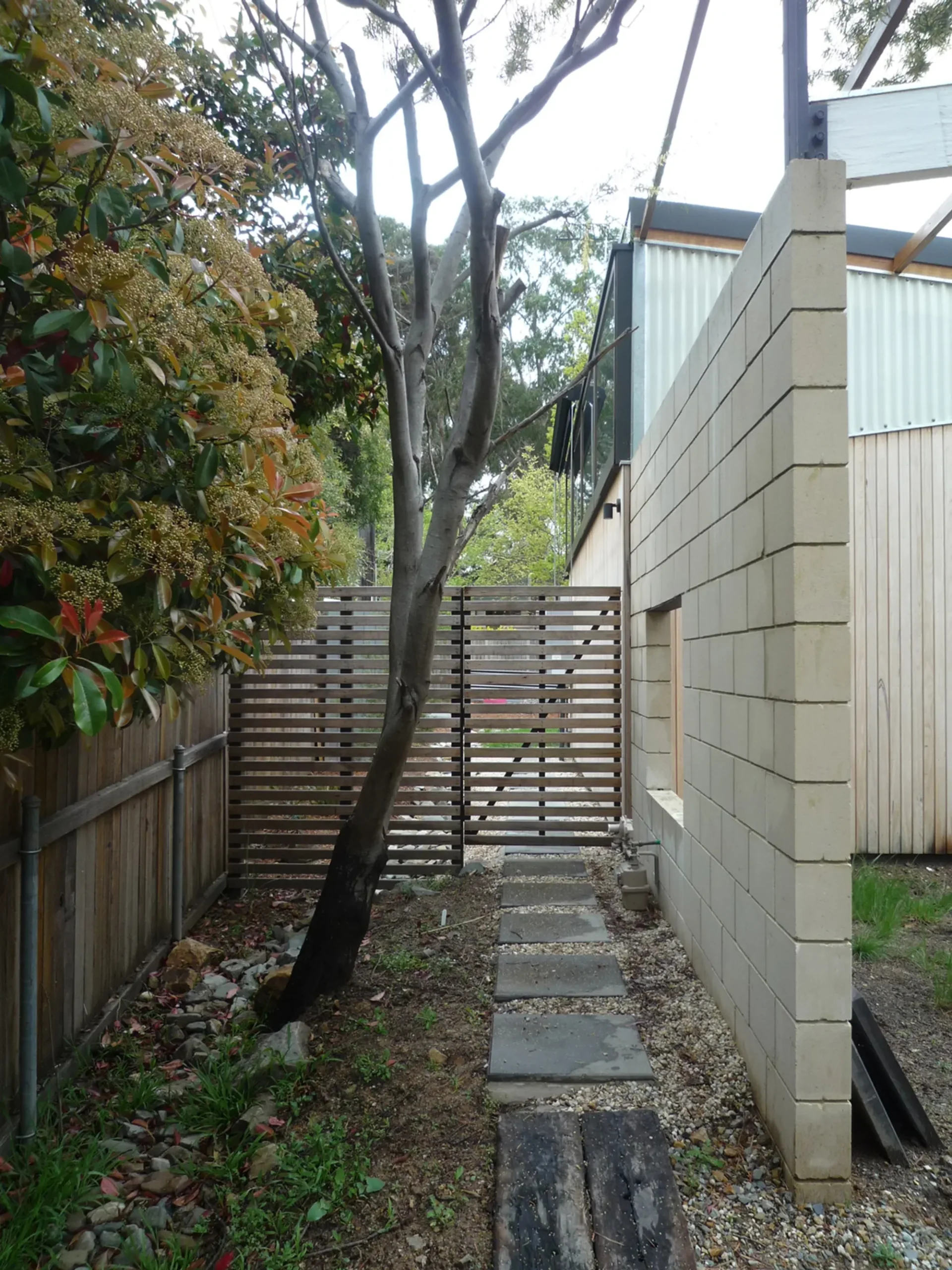 f2680934d1903f8d18528d799051c23f3f03fc56-1125x1500