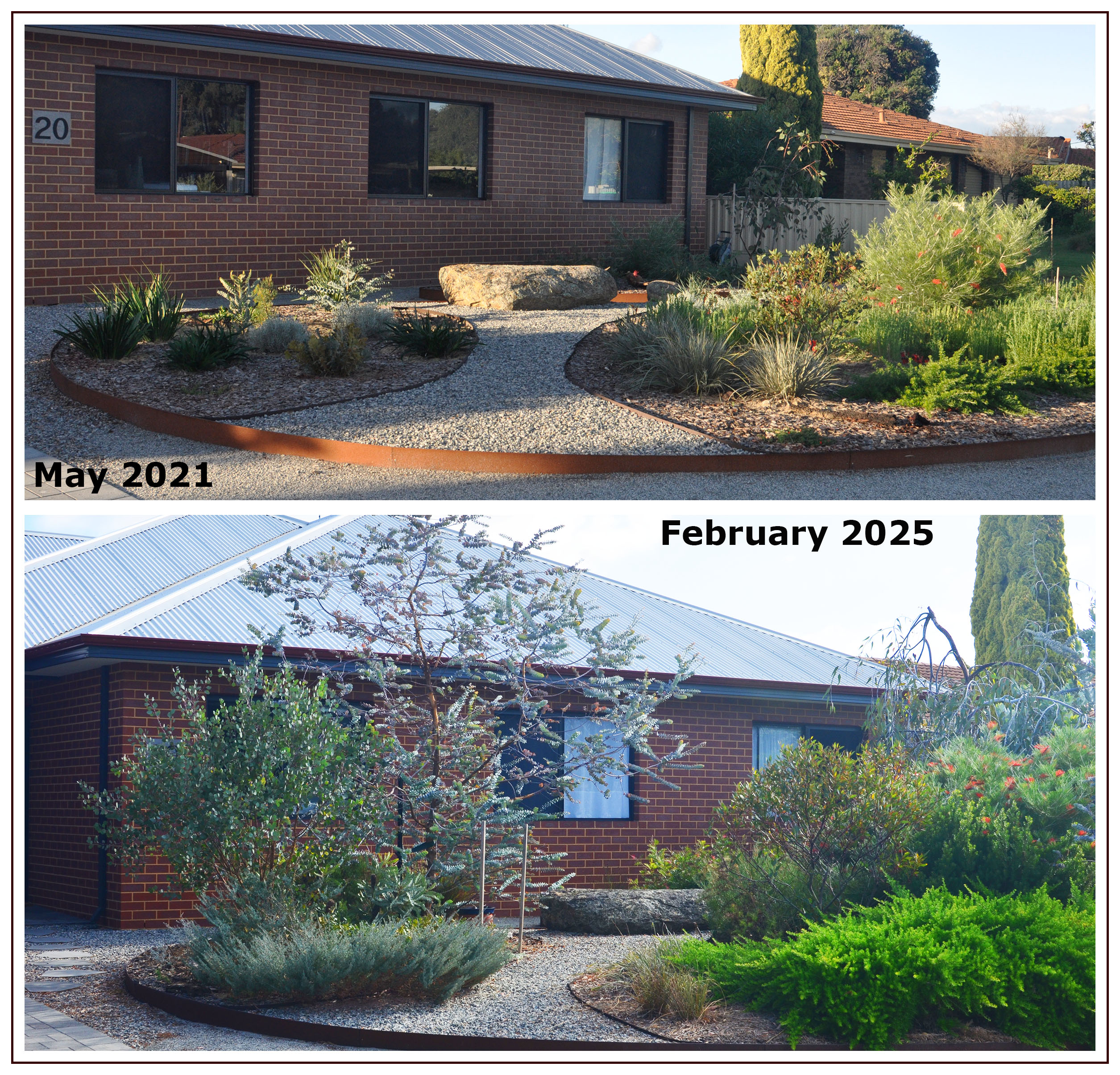 garden-may21-feb25-path