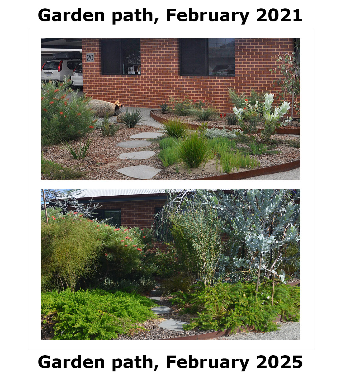 garden-path-2021-and-2025