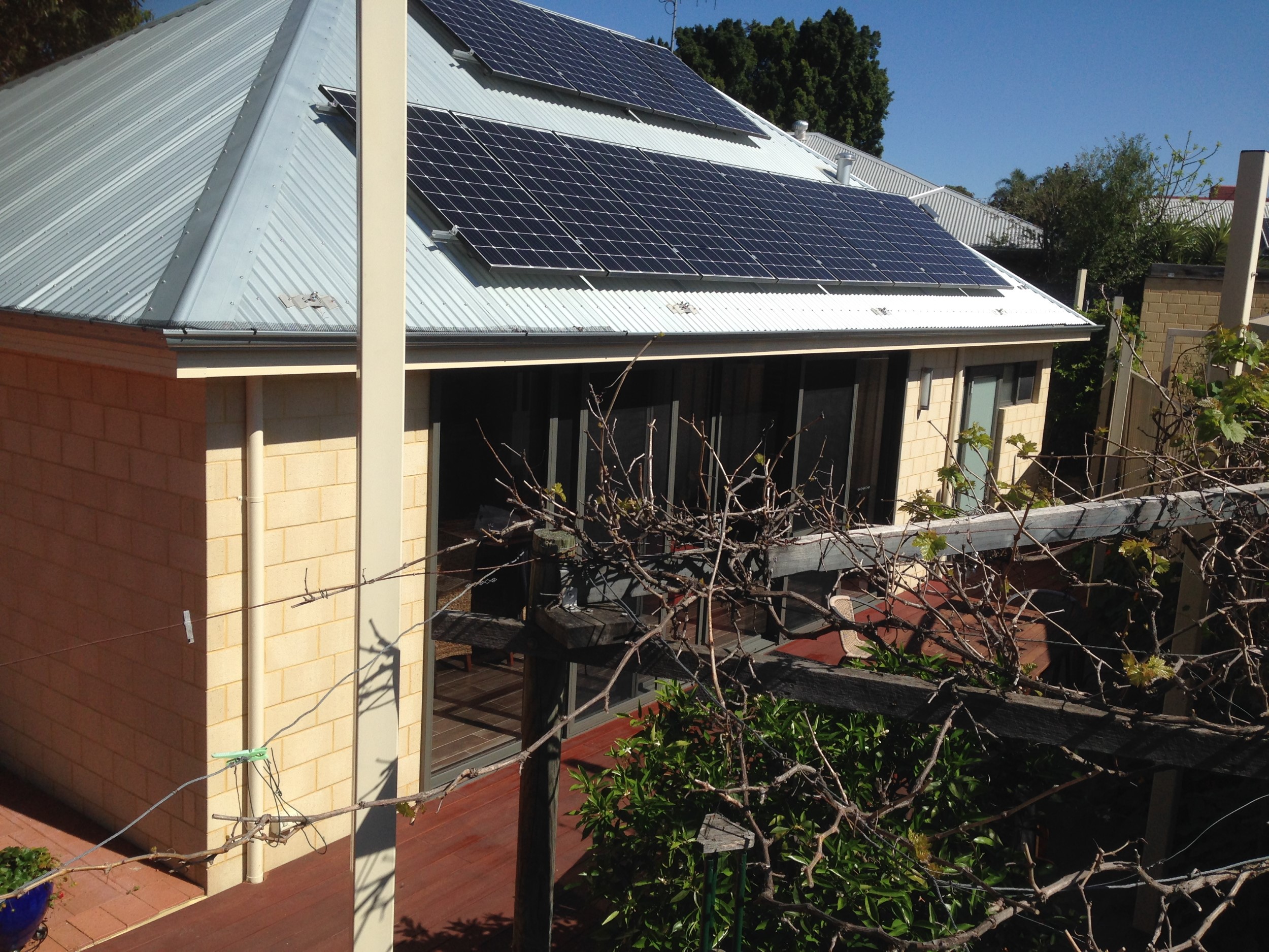 grapes-and-north-side