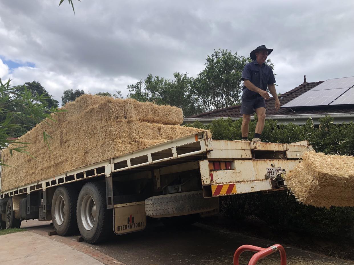 received_369840592168505