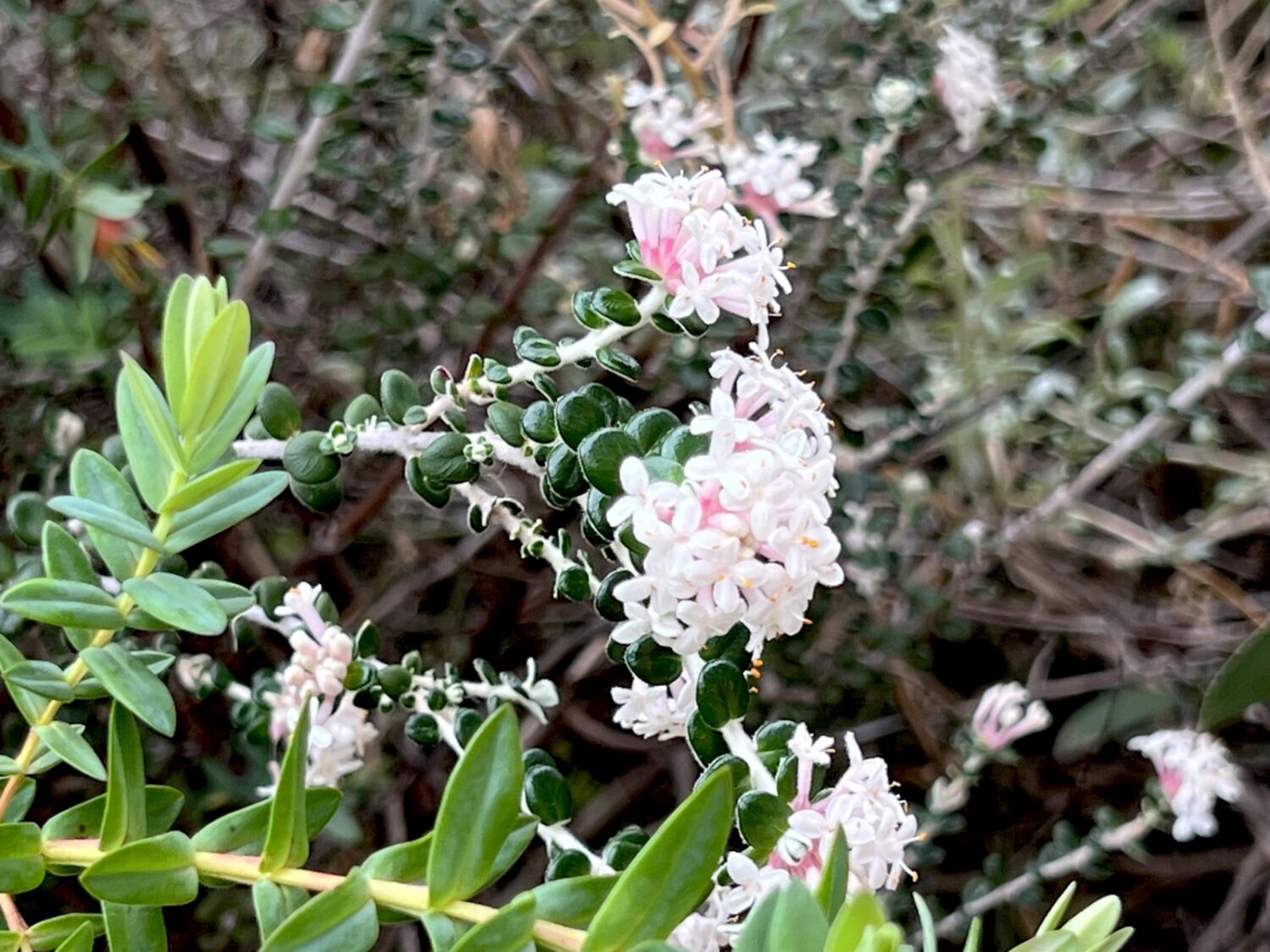 tempImageGDPeU9-scaled