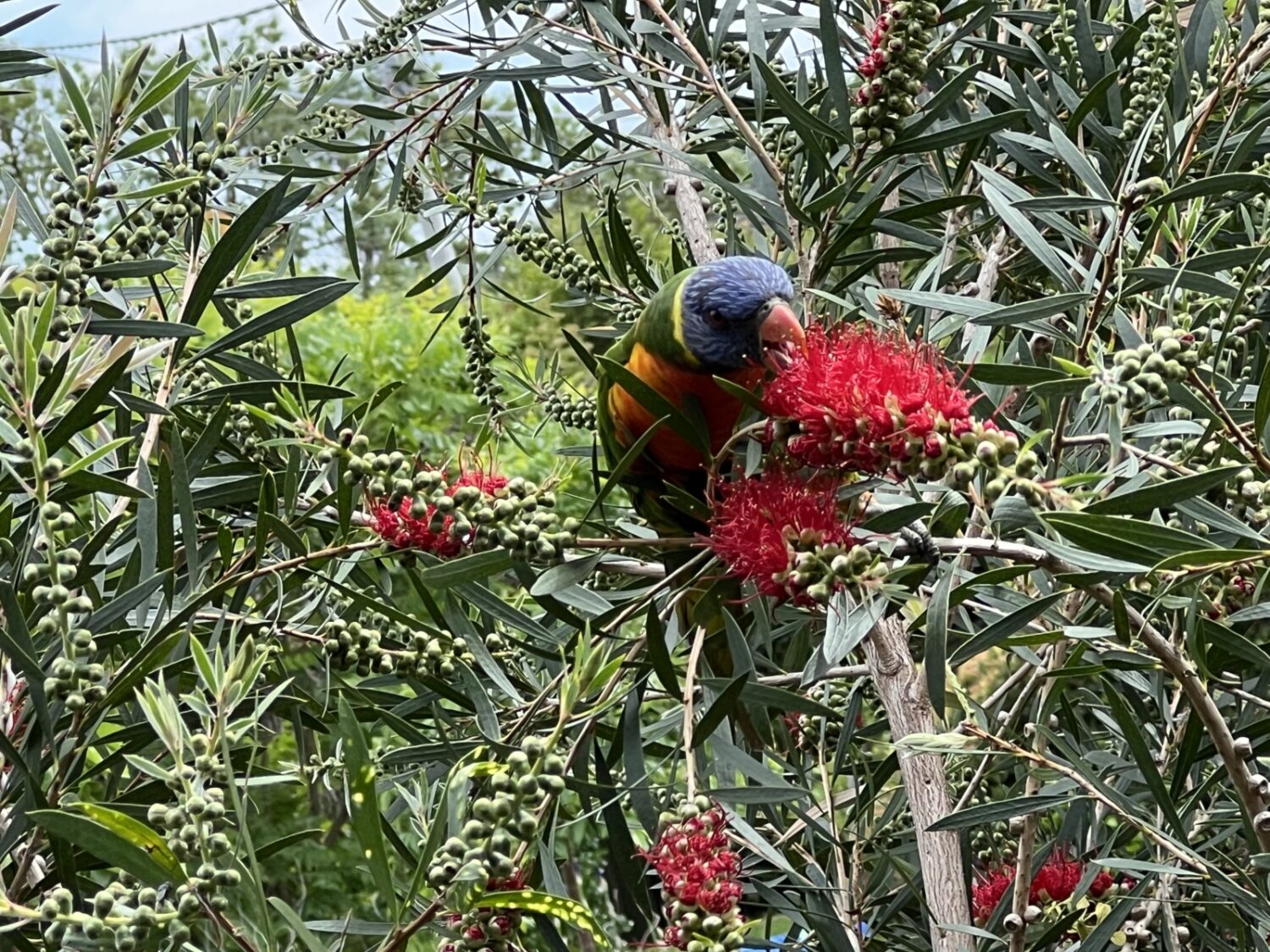 tempImageMc80q0-scaled