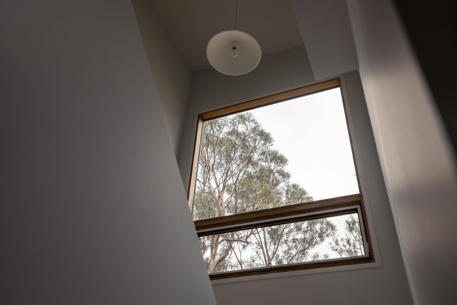 thumbnail_Charlie-Kinross-LR-7119_website