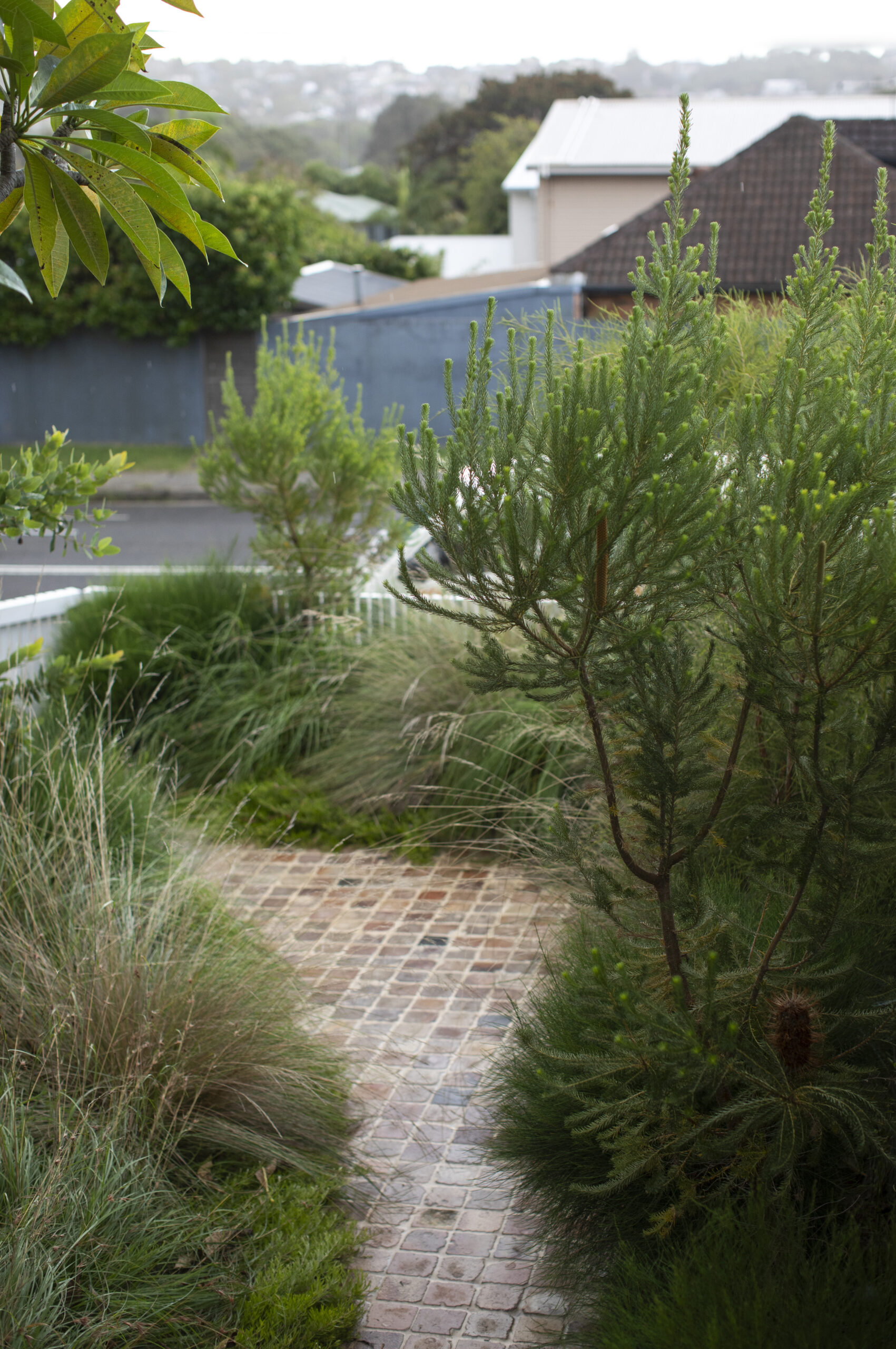 08_Regrow-House_Bastian-Architecture_Justin-Aaron-Studio