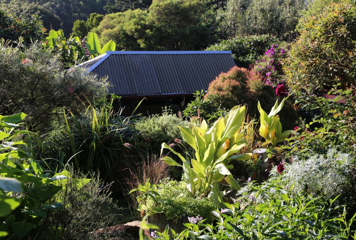 IMG_0347_middle_garden_from_top_autumn