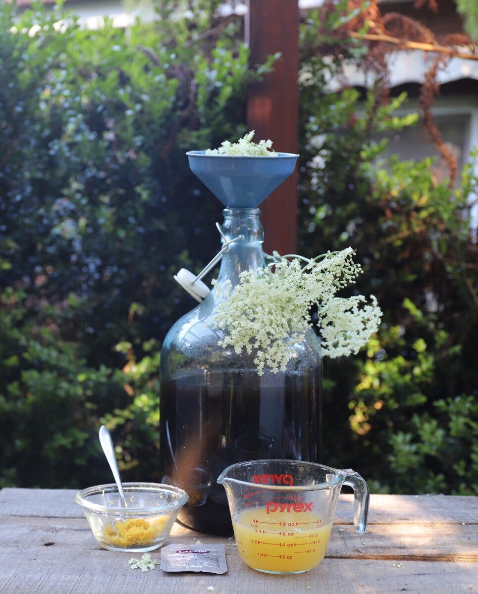 IMG_1483_elderflower_champagne