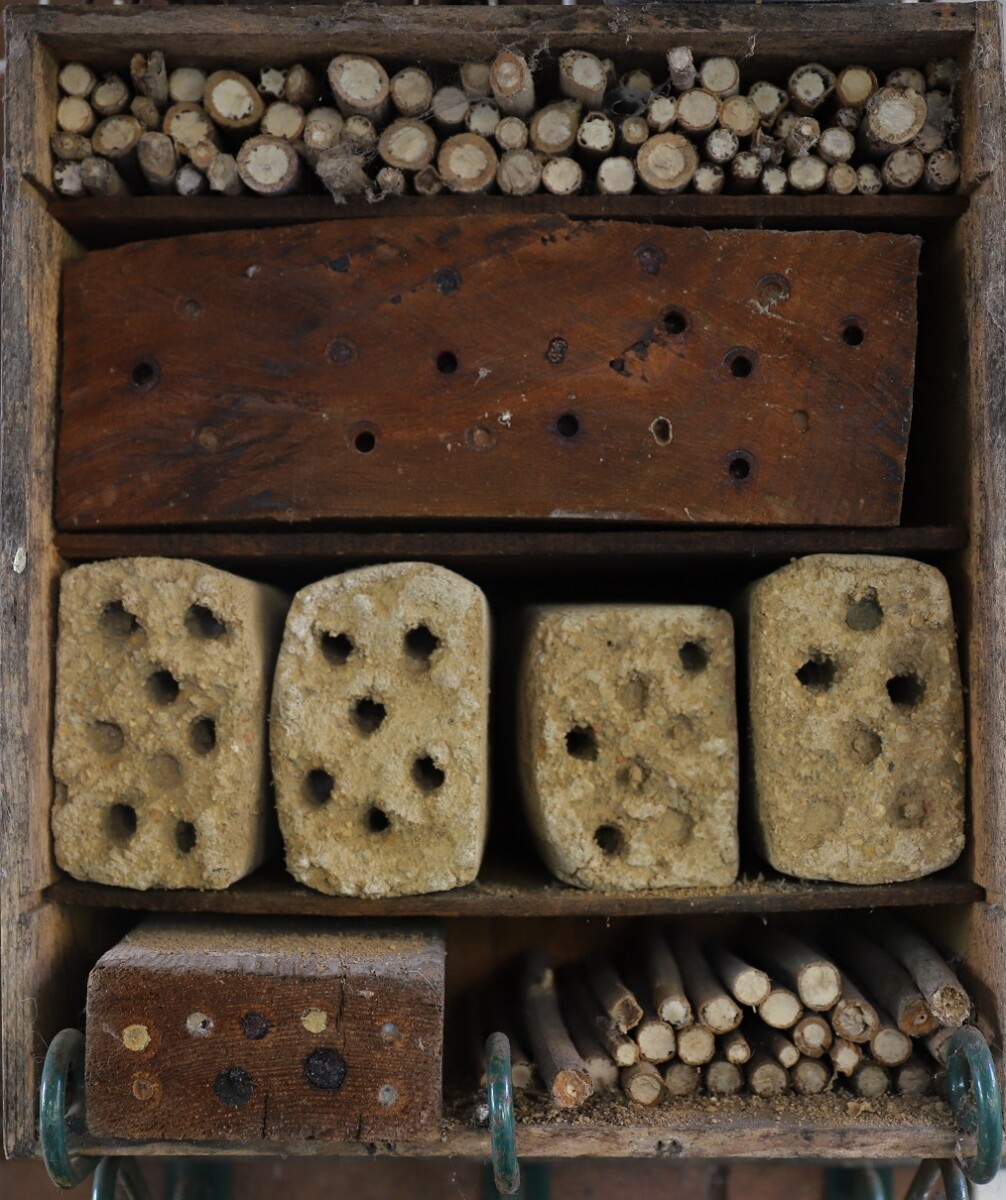 IMG_2116_bee_habitat