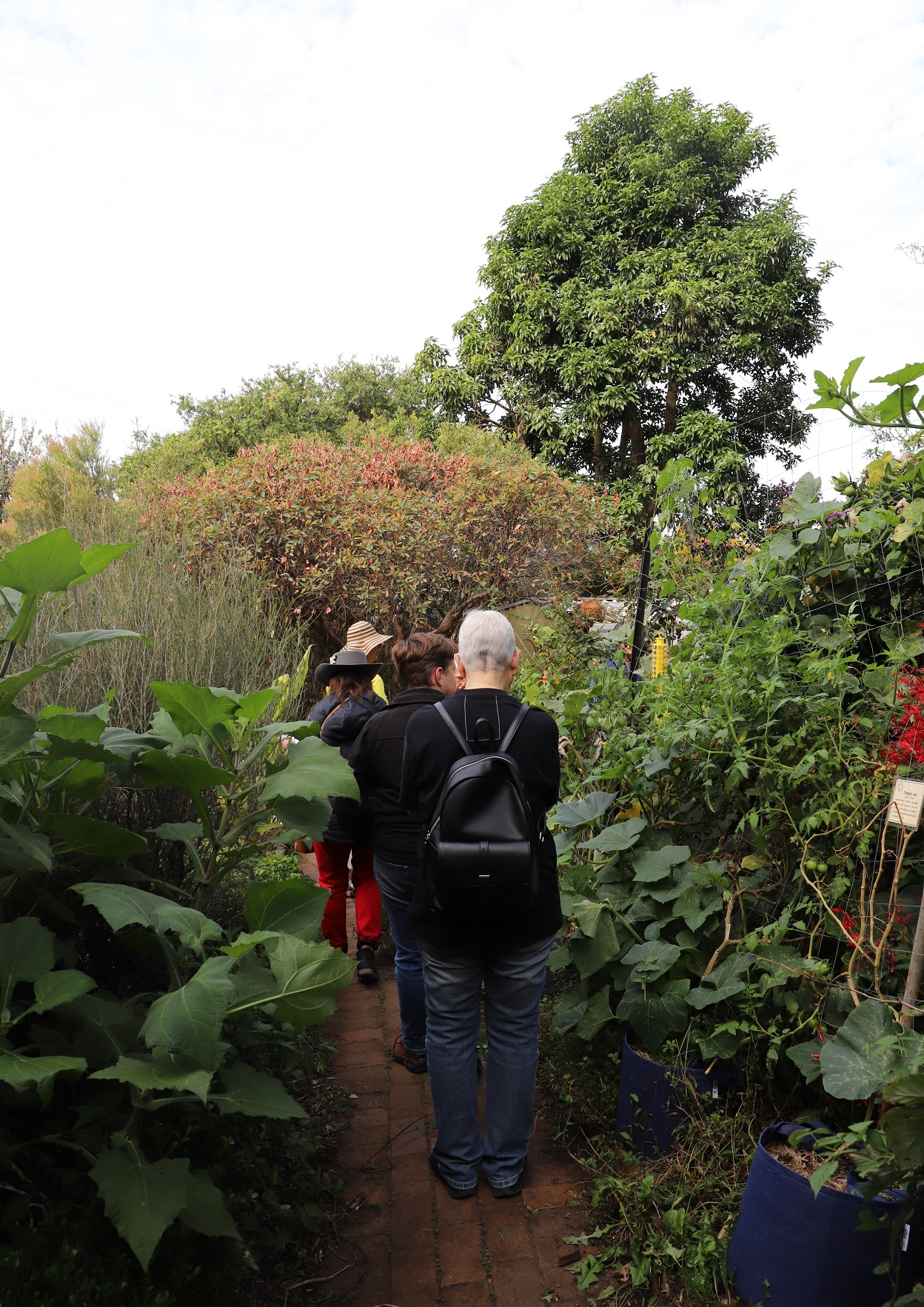 IMG_3805_visitors_main_path